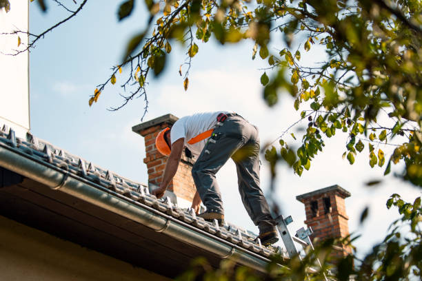 Best Roof Gutter Cleaning  in Orida City, FL
