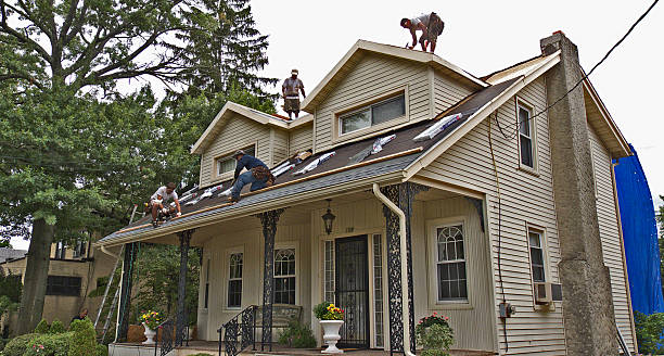 Best Metal Roofing Contractor  in Orida City, FL