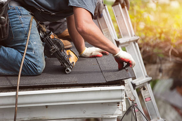 Best Roof Gutter Cleaning  in Orida City, FL